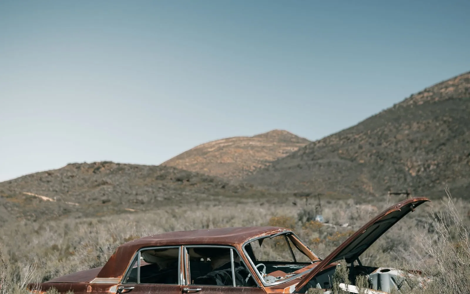 Rusted sedan with its hood open sitting in tall dry grass